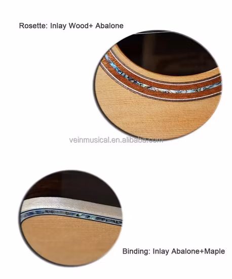 Rosewood Grand Auditorium Solid Top Acoustic Guitarfob Reference Price: Get Latest Price